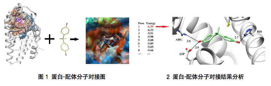 分子對(duì)接1