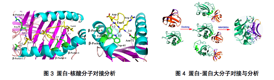 分子對(duì)接2